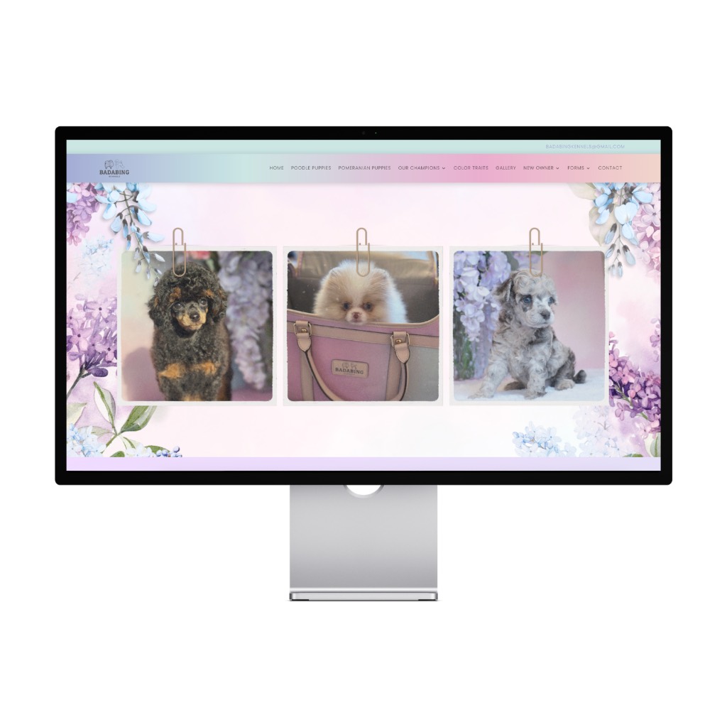 Badabing Kennel — California