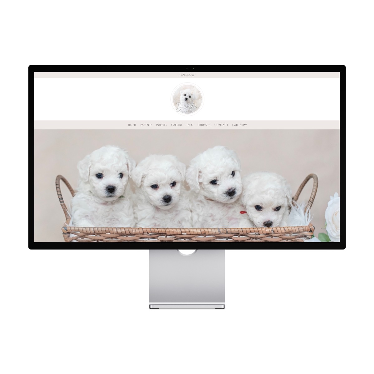 Bella Vida Bichons — Arizona