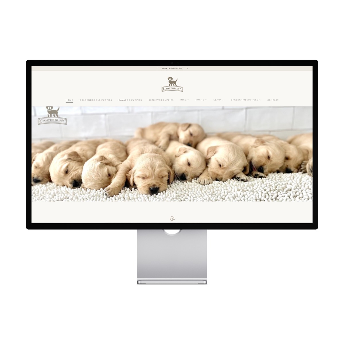 Canterbury Canines — Utah