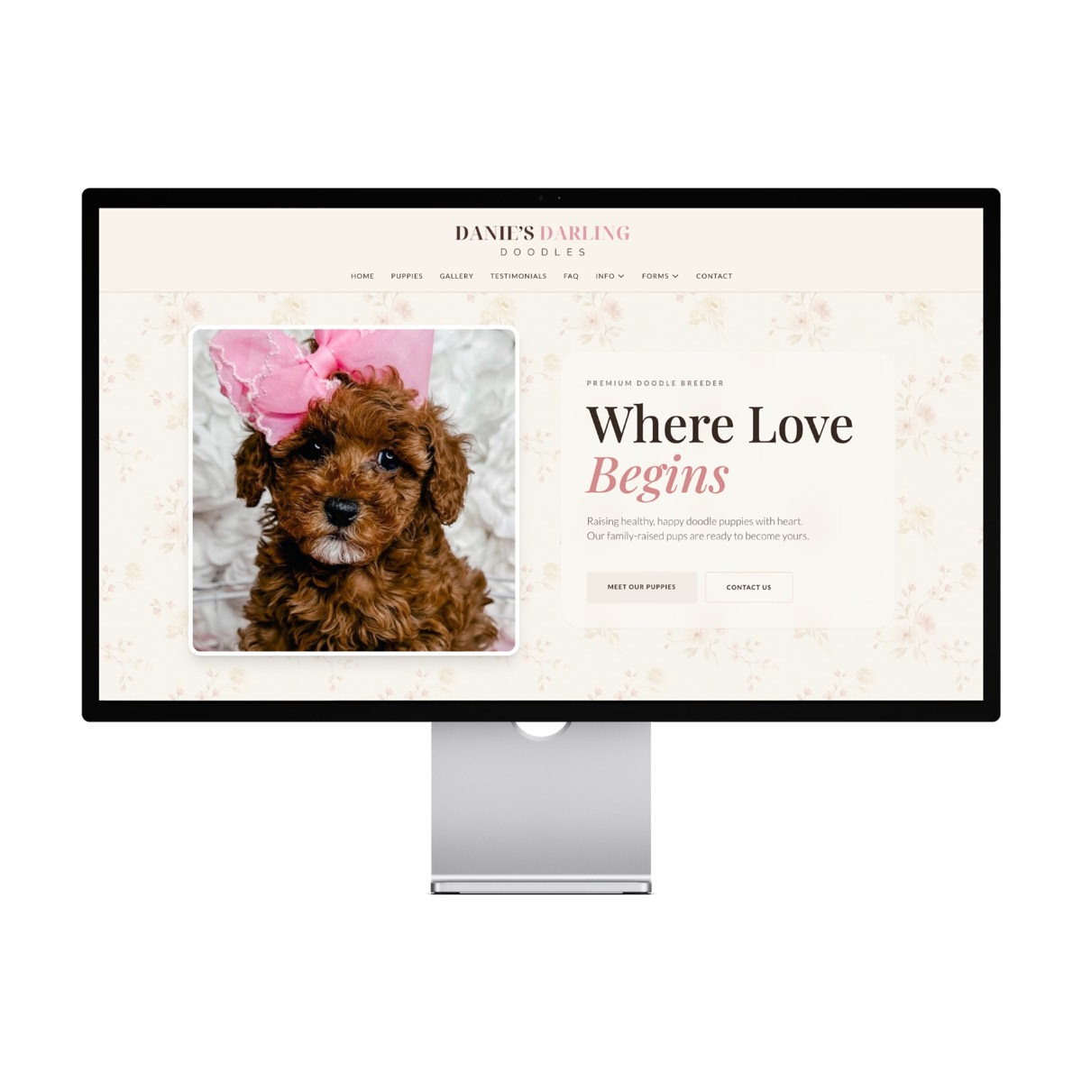 Danie's Darling Doodles — Michigan
