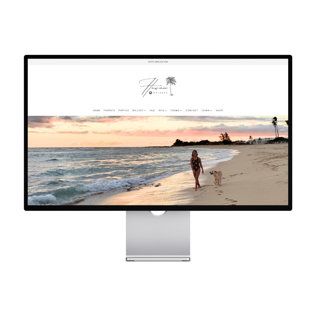 Hawaii Goldens — Hawaii
