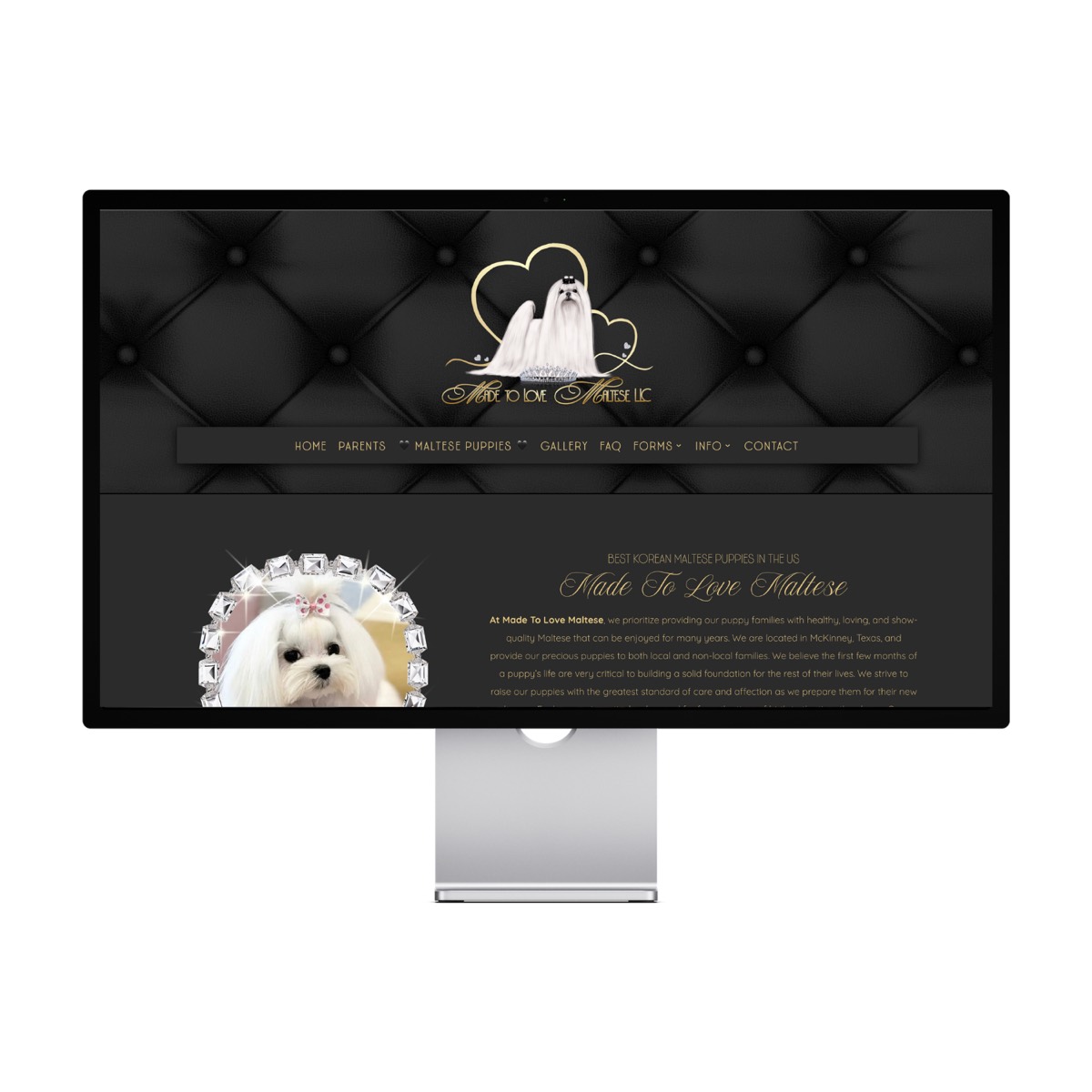 Made To Love Maltese — Texas