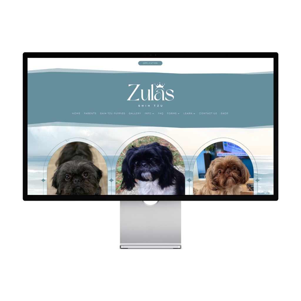 Zula's Shih Tzu — Maine