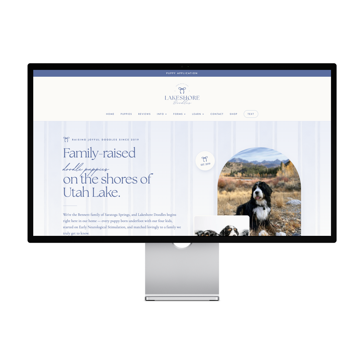 Lakeshore Doodles Template — preview 1 of 5