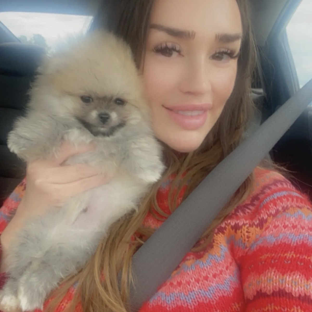Bourlet Pomeranians